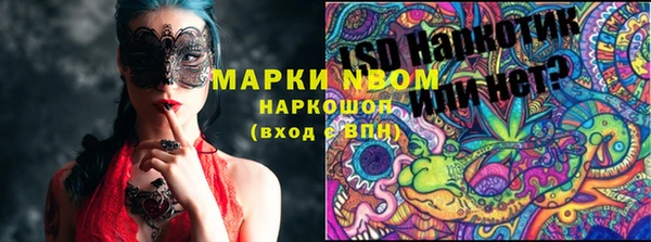 гашик Алексеевка