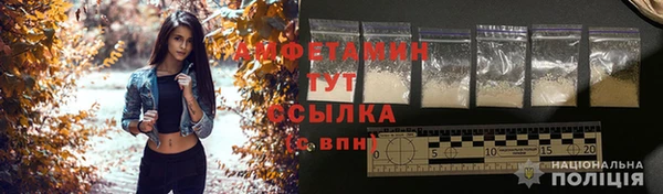 ГАЛЛЮЦИНОГЕННЫЕ ГРИБЫ Алексин