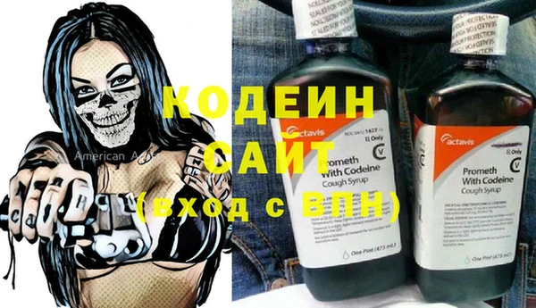 молекула духа Алзамай