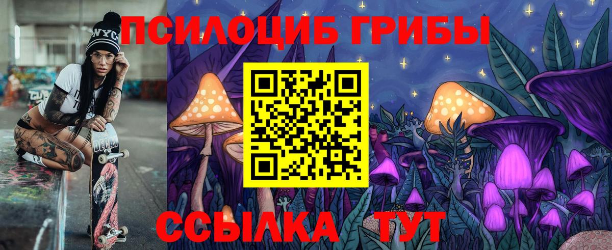 Псилоцибиновые грибы Magic Shrooms  Галлюциногенные грибы Psilocybe  Железноводск  Вход с VPN 